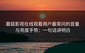 蘑菇影视在线观看用户最常问的音量与亮度手势：一句话讲明白