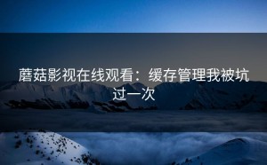 蘑菇影视在线观看：缓存管理我被坑过一次