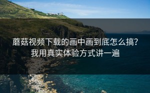 蘑菇视频下载的画中画到底怎么搞？我用真实体验方式讲一遍