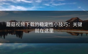 蘑菇视频下载的稳定性小技巧：关键就在这里