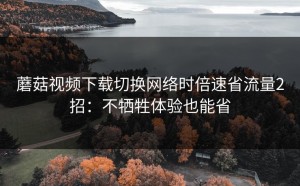 蘑菇视频下载切换网络时倍速省流量2招：不牺牲体验也能省