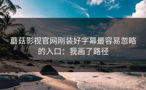 蘑菇影视官网刚装好字幕最容易忽略的入口：我画了路径