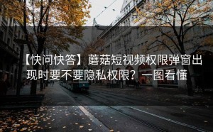 【快问快答】蘑菇短视频权限弹窗出现时要不要隐私权限？一图看懂
