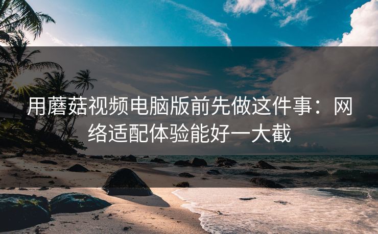 用蘑菇视频电脑版前先做这件事：网络适配体验能好一大截