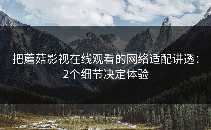 把蘑菇影视在线观看的网络适配讲透:2个细节决定体验 把蘑菇影视在线观看的网络适配讲透:2个细节决定体验