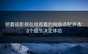 把蘑菇影视在线观看的网络适配讲透：3个细节决定体验