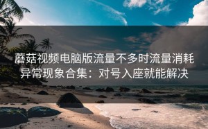 蘑菇视频电脑版流量不多时流量消耗异常现象合集：对号入座就能解决