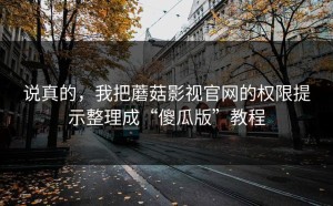 说真的，我把蘑菇影视官网的权限提示整理成“傻瓜版”教程