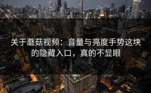 关于蘑菇视频：音量与亮度手势这块的隐藏入口，真的不显眼
