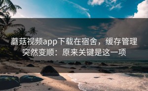 蘑菇视频app下载在宿舍，缓存管理突然变顺：原来关键是这一项