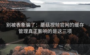 别被表象骗了：蘑菇视频官网的缓存管理真正影响的是这三项