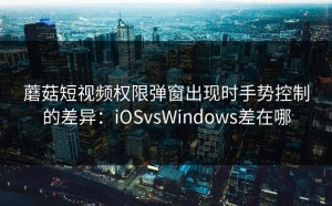 蘑菇短视频权限弹窗出现时手势控制的差异：iOSvsWindows差在哪