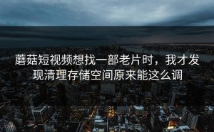 蘑菇短视频想找一部老片时，我才发现清理存储空间原来能这么调