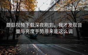 蘑菇视频下载深夜刷到，我才发现音量与亮度手势原来能这么调