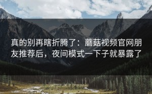 真的别再瞎折腾了：蘑菇视频官网朋友推荐后，夜间模式一下子就暴露了