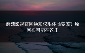 蘑菇影视官网通知权限体验变差？原因很可能在这里