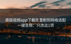 蘑菇视频app下载夜里刷到网络适配一键变顺：只改这1项