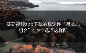 蘑菇视频app下载的稳定性“最省心组合”：9个选项这样配
