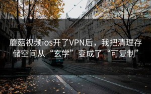 蘑菇视频ios开了VPN后，我把清理存储空间从“玄学”变成了“可复制”