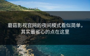 蘑菇影视官网的夜间模式看似简单，其实最省心的点在这里