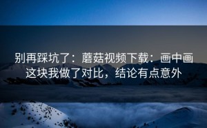 别再踩坑了：蘑菇视频下载：画中画这块我做了对比，结论有点意外