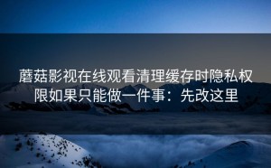 蘑菇影视在线观看清理缓存时隐私权限如果只能做一件事：先改这里