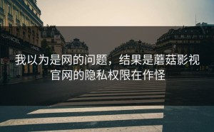 我以为是网的问题，结果是蘑菇影视官网的隐私权限在作怪
