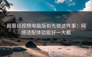 用蘑菇视频电脑版前先做这件事：网络适配体验能好一大截