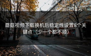 蘑菇视频下载换机后稳定性设置8个关键点（少一个都不顺）