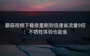 蘑菇视频下载夜里刷到倍速省流量9招：不牺牲体验也能省