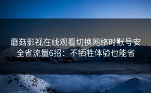 蘑菇影视在线观看切换网络时账号安全省流量6招：不牺牲体验也能省