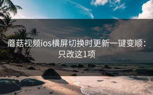 蘑菇视频ios横屏切换时更新一键变顺：只改这1项