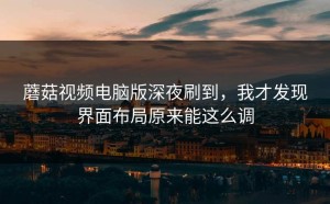 蘑菇视频电脑版深夜刷到，我才发现界面布局原来能这么调