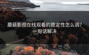 蘑菇影视在线观看的稳定性怎么调？一句话解决