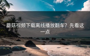 蘑菇视频下载离线播放翻车？先看这一点