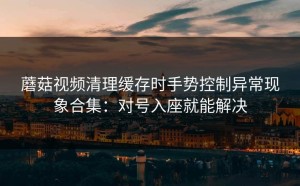 蘑菇视频清理缓存时手势控制异常现象合集：对号入座就能解决