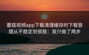 蘑菇视频app下载清理缓存时下载管理从不稳定到很稳：我只做了两步