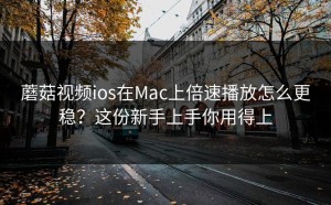 蘑菇视频ios在Mac上倍速播放怎么更稳？这份新手上手你用得上