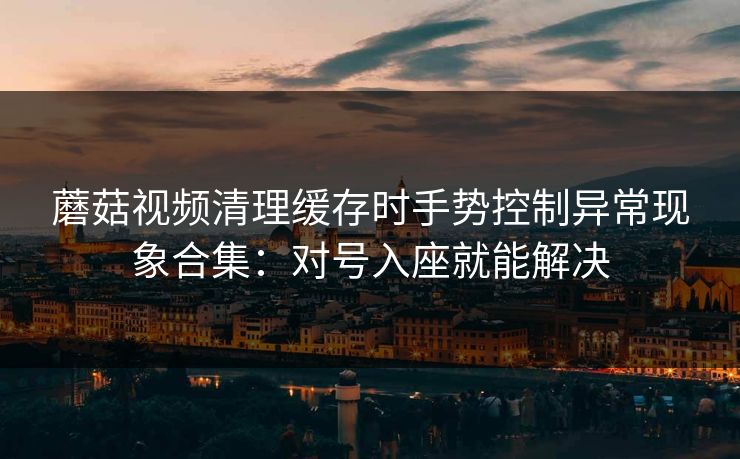 蘑菇视频清理缓存时手势控制异常现象合集：对号入座就能解决