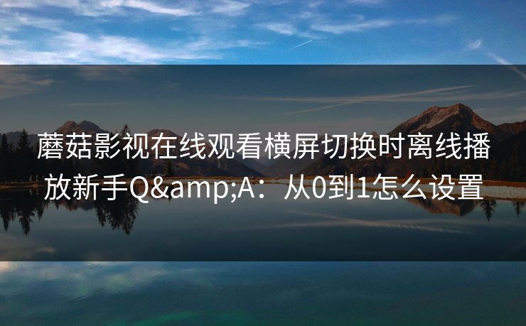 蘑菇影视在线观看横屏切换时离线播放新手Q&A：从0到1怎么设置