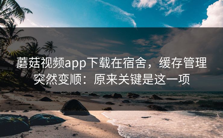 蘑菇视频app下载在宿舍，缓存管理突然变顺：原来关键是这一项