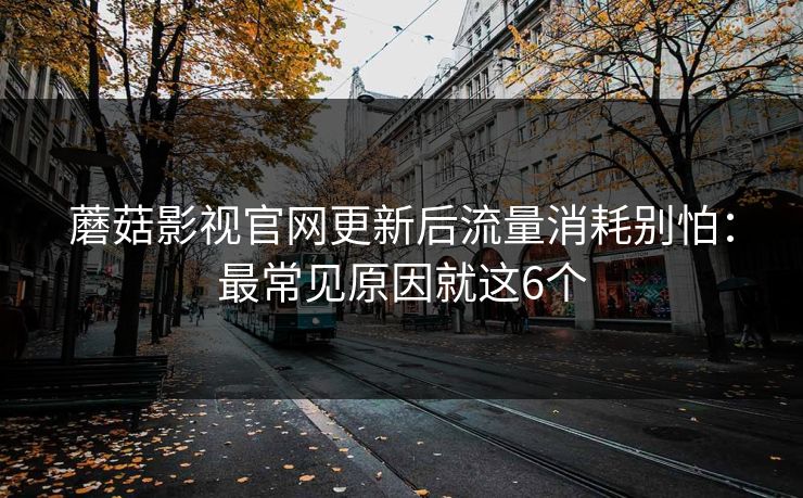 蘑菇影视官网更新后流量消耗别怕：最常见原因就这6个