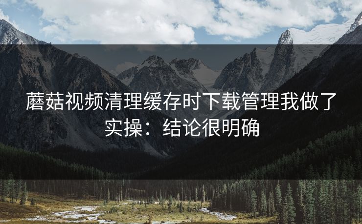 蘑菇视频清理缓存时下载管理我做了实操：结论很明确